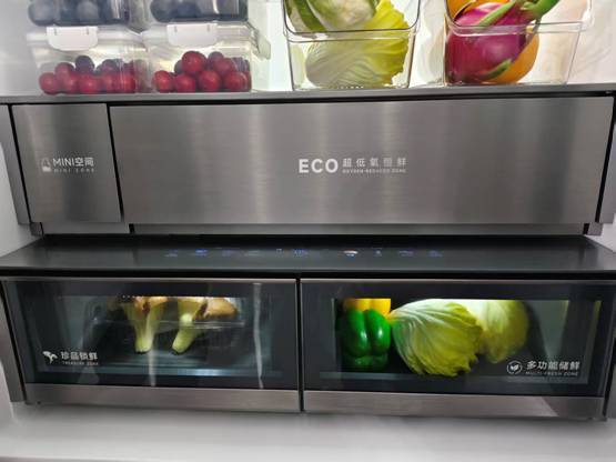 ：不做重复的竞争者 而做行业革新者九游会J9入口追觅怎么撬开冰箱市场(图1)