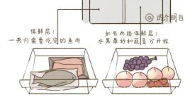 肉还能吃？一文搞懂冰箱食物保存时间j9九游真人游戏第一平台冻了1年的(图5)