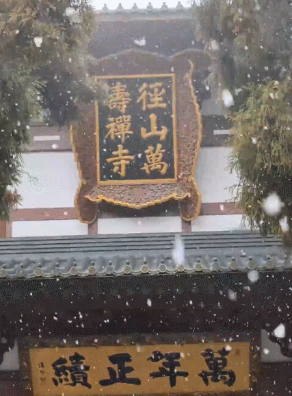 丨杭州多地下起鹅毛大雪九游会·j9网站滚动(图2)