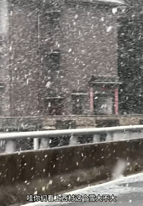 丨杭州多地下起鹅毛大雪九游会·j9网站滚动(图7)
