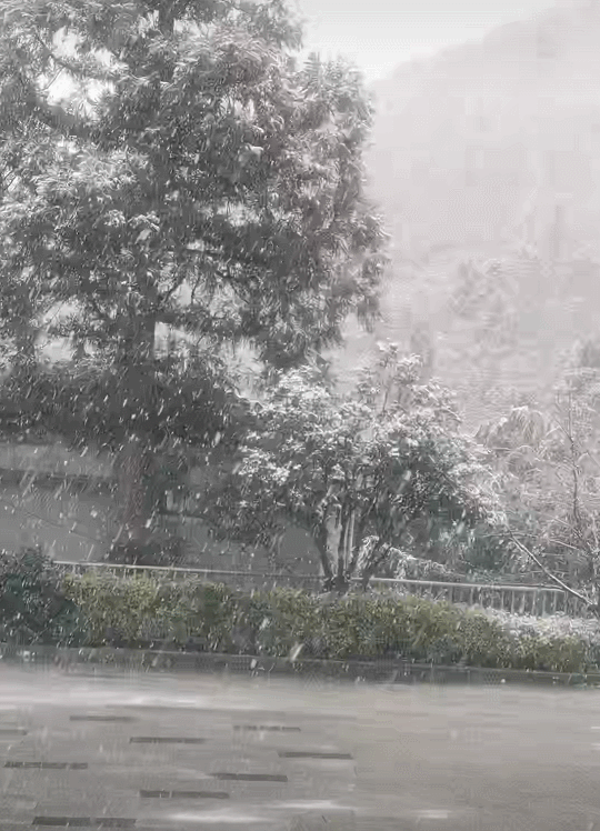 丨杭州多地下起鹅毛大雪九游会·j9网站滚动(图9)